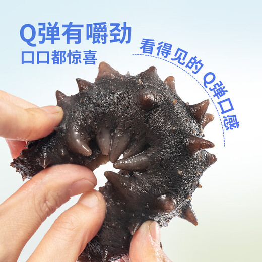 Dalian ready-to-eat sea cucumbers, Dalian ginseng and Liao ginseng are carefully selected. 1 Jin Jin is equal to 0.5 kg, 9-13 pieces. Solid content exceeds 75%. Seafood and aquatic products are shipped directly from the source.