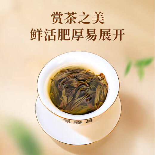 Canción Taichang Mierda de pato fragancia Phoenix tinte de tinga especial fragancia de fuego de luz especial té oolong