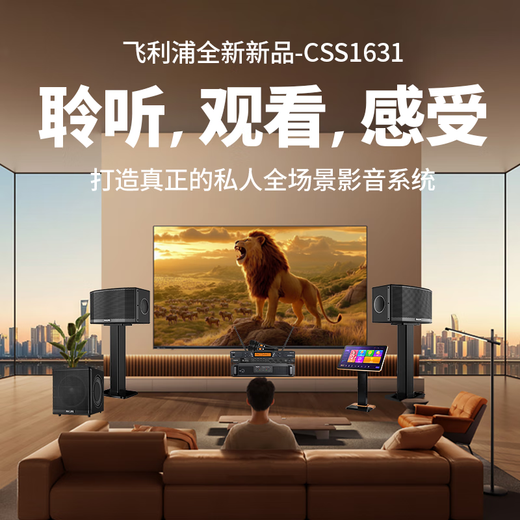 飞利浦【国家补贴】家庭ktv音响套装唱歌全套设备 卡拉ok点歌机功放音箱组合 家用客厅唱歌K歌设备 【含低音炮】10吋2.1至尊版套装 图片色
