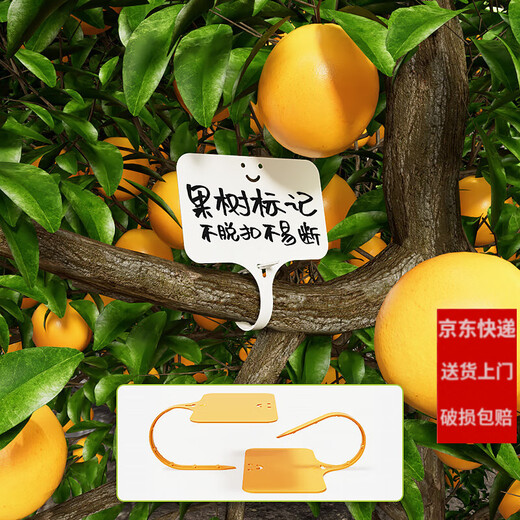 西普顿苗木花盆塑料多肉标签花卉园艺插地牌盆栽植物名字标牌防水小插牌 红色100个（9.6cm）