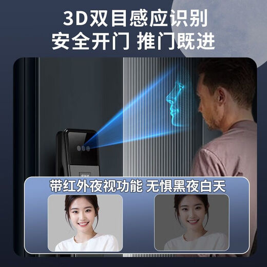 Patriot (AIGO) [2694 Kollektionen] AIGO Patriot Smart Door Lock Lock Lock Haushalt Elektronische Sperre Anti-Diebstahltür Sichtbares 3D G6 Gesichtspalmenmustermodell + Dual Camera Double Electric + Visual Pair Installieren Sie von Ihnen [Video Learn]