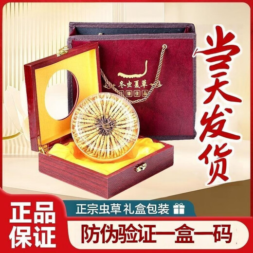 Ausgewählte Cordyceps sinensis cordyceps sinensis hoher Höhe des Kopfstadiums Cordyceps sinensis Geschenkbox verfügbar. 2 1 Gramm Cordyceps sinensis in Tibet Nago Cordyceps sinensis 2 Stücke Cordyceps sinensis 1 Gramm