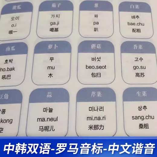 Offizieller Original-Koreanisch-Sprachführer der Ausgabe 2025 für Zero Basics. Geistes-, Sozial- und Kulturwissenschaften. Koreanischer Sprachführer für Zero Basics