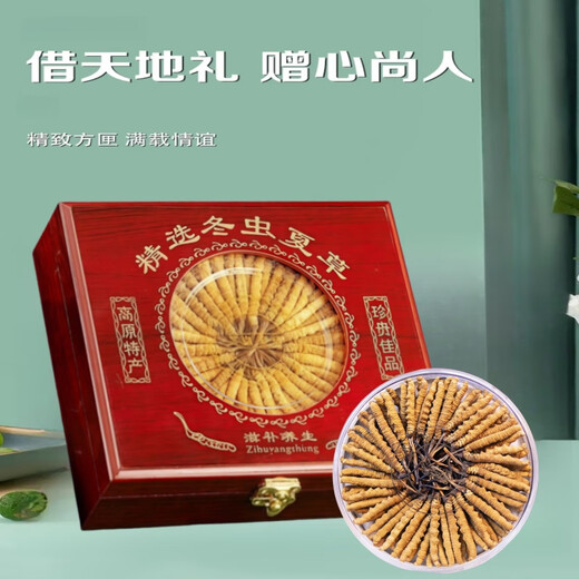 Cordyceps sinensis auténtica caja de regalo Cordyceps con 10 gramos de cordyceps sinensis paquete 50 piezas de ganzi tibetano productos secos Cordyceps Caja de regalo auténtica 3 piezas de cordyceps sinensis un gramo auténtico cordyceps sinensis 10 gramos de genuino cordyceps sinensisisisisisisisisisisisisisisisisisisisisisisisisisisisisisisisisisisisisisisisisisisisisisisisisisisisisisdinensisisisisisisisisisisisisisisisisdissisisisisisisisisisisdes