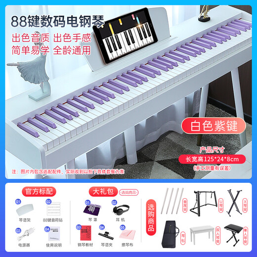 贝多辰88重锤键电钢琴幼师成人儿童电子钢琴初学入门智能十级考级用琴 初学推荐+88重力键 标配