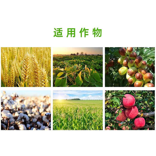 Shanggebaoying 20% Phenylpeptide Amino Acid Citrus Mango Preserves Flowers and Fruits and Promotes Flower Bud Differentiation Regulator Pesticide 100g