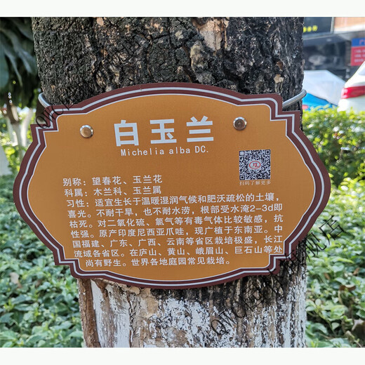 Stainless steel 304 tension spring chain hanging plant Chinese herbal tree brand spring stainless steel spring 20x0.6cm