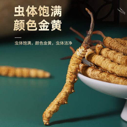 聚和泰冬虫夏草高端礼盒30根/10g国庆中秋节日送父母长辈健康滋补营养品