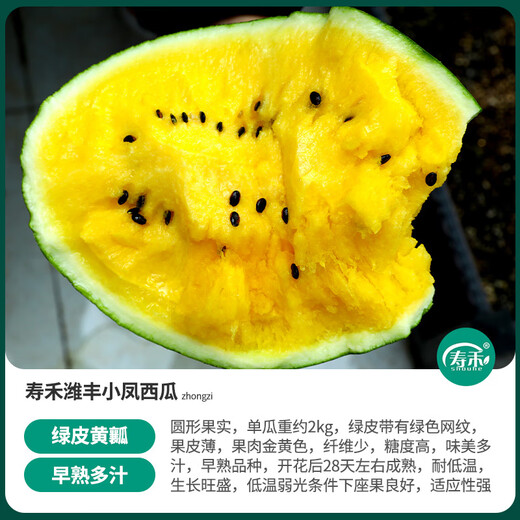 Shouhe fruit seeds early spring ruby gift watermelon 2k small watermelon thin skin sweet spring planting balcony potted plant Shouhe Weifeng series Xiaofeng watermelon seeds 15 capsules