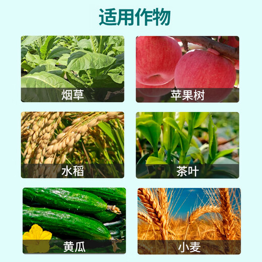 Bihu 0.136% red indigo brassica German imported vegetable and flower plant growth regulator 50g*1 bottle