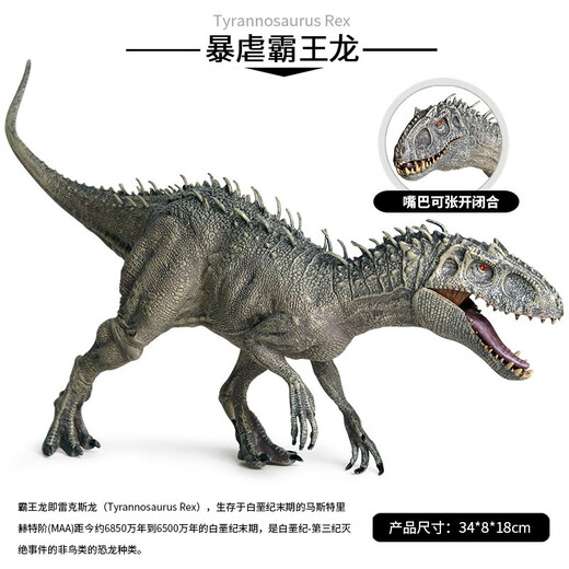 Maiqu Planet Children's Large Size Dinosaur Model Toy Animal Figure Museum Jurassic Ancient Tyrannical Tyrannical Dragon