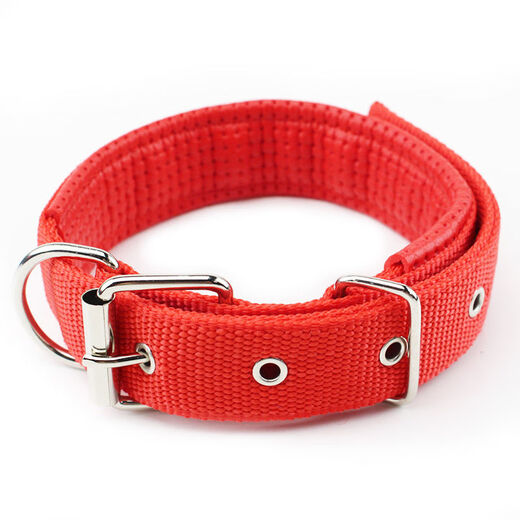 Dog collar leash, pet walking leash, large, medium and small dog chain, foam neck collar, golden retriever collar, red, size M, about 12-25 Jin, Jin is equal to 0.5 kg