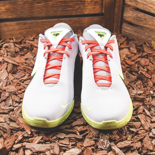 耐克（NIKE）Lebron22LBJ22詹姆斯勒布朗22篮球鞋FZ1095-101 FZ1098-100 40.5