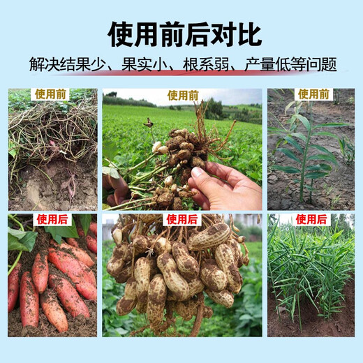 Underground rhizome expansion hormone, sweet potato, Chinese medicinal materials, yams, potatoes, peanuts, garlic, special tubers to increase production, fertilization, root and tuber expansion hormone, 12 bags*12kg