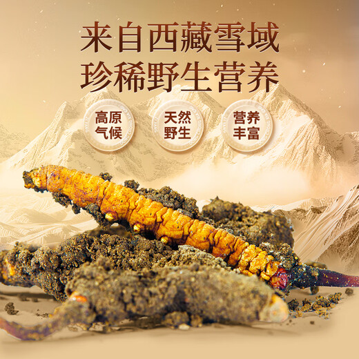 同仁堂品牌西藏野生冬虫夏草约4根/g10g约40根虫草滋补品送老丈人的礼物
