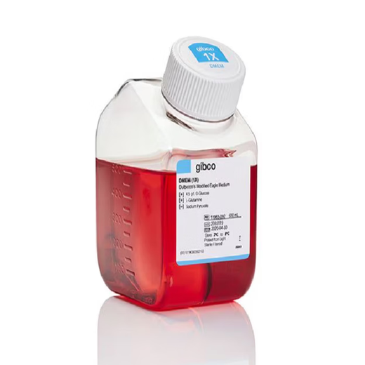 Gibco DMEM high sugar medium imported 11965092 11965-092 11965118 10 x 500 mL