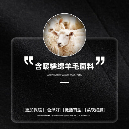SHANSHAN杉杉西服男春秋商务男士羊毛混纺职业单西加厚保暖外套 黑色 L /175【建议115-135斤】