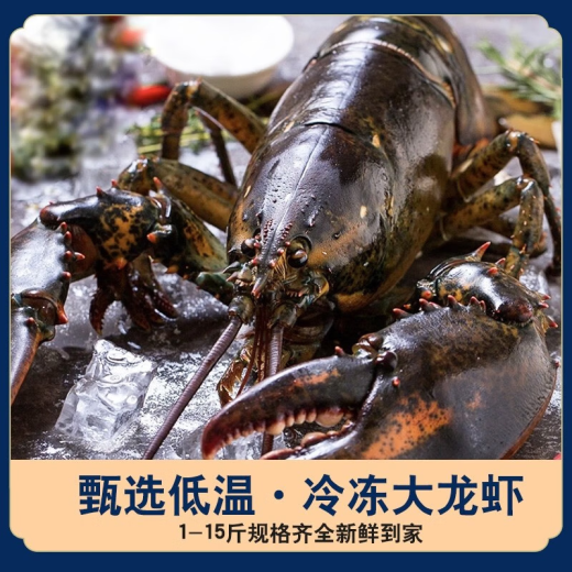 海泽鲜 帝王蟹礼盒生鲜大礼包 波士顿龙虾高档海鲜礼盒 重约8-9斤（帝王蟹礼盒1098款）