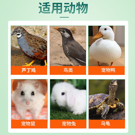 Pet electrolytic multi-dimensional bird multi-dimensional electrolyte is specially designed to meet the daily nutritional supplement stress response of small pets. Small pet electrolytic multi-dimensional 5 bottles/100g