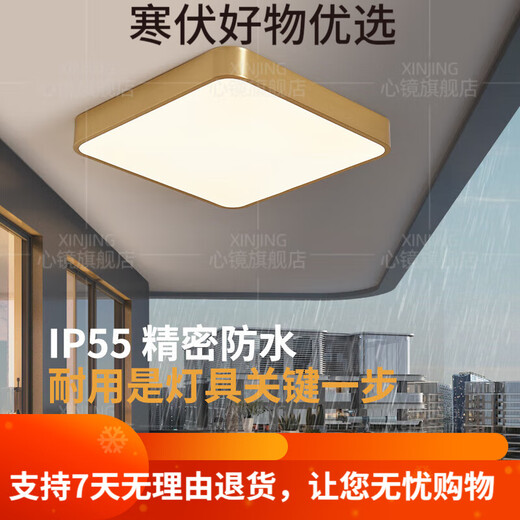 CLCEY全铜户外吸顶灯别墅大门口门前灯室外过道阳台灯防蚊虫庭 X3895-4 X3893-600/方形