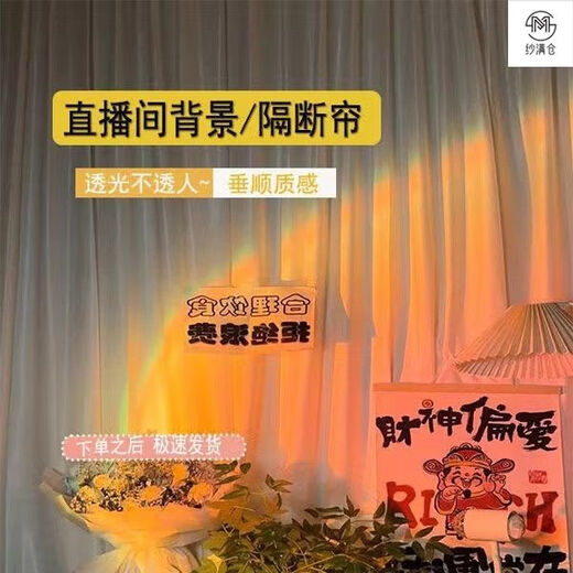 Live broadcast background cloth Internet celebrity live broadcast room background curtain curtain free of punching Velcro gauze curtain partition special for female anchors background gauze Velcro processing width 2.001*height 2.72 meters one piece (suitable for close range