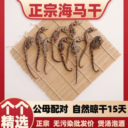 北京同仁堂足干正宗海马干货非中药材一对滋补泡酒配对煲汤公母非野肾阳高 5对装[9-11厘米]送6只特小海马