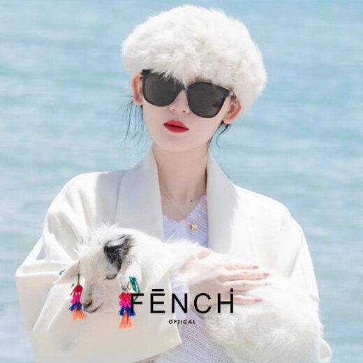 芬驰（FENCHI）GM墨镜女大框高级感大脸显瘦偏光太阳镜男防紫外线开车眼镜jacki
