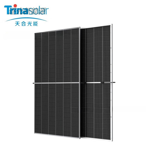Tianhe Tianhe Solar Photovoltaic Panel NEG21C.20 695/700/705/710/715/720W NEG21C.20 695W Doppelglas