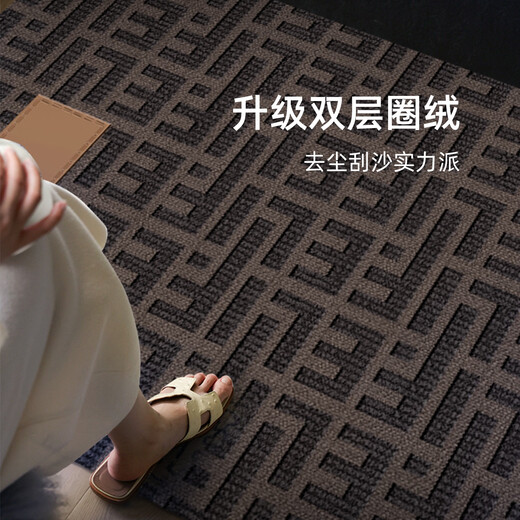 OUOETY卫辞地垫门口入户门进门脚踏定制2025新款轻奢高级感入门地毯耐脏 朝暮-14109 80cm*100cm七天无理由退换