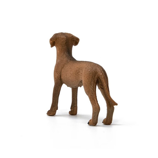思乐（Schleich S）仿真动物模型猫猫狗狗男女孩启蒙认知3+六一儿童节礼物 罗得西亚脊背犬13895