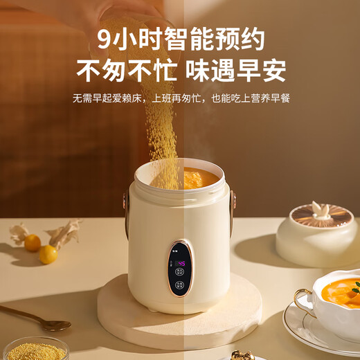 Aishal souvenir doctor's day gift health pot electric stew cup gift box to give teachers and staff prizes birthday school banquet gifts high-end business gift custom souvenir purple company anniversary event to give customers employee prizes retirement souvenirs