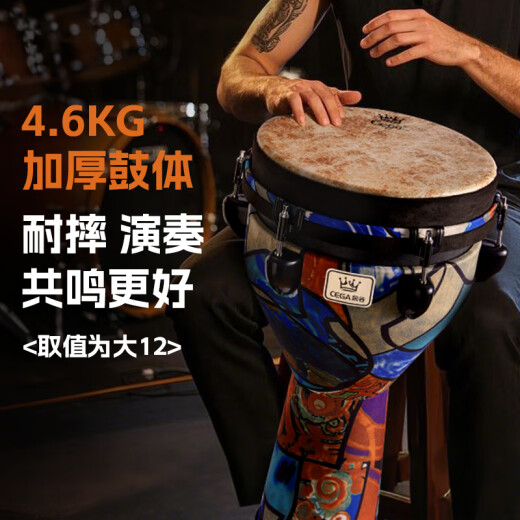 前谷非洲鼓12英寸成人可调音专业演奏级手鼓大10打击乐器轻质节日礼物 抽象色块大12+全套赠品