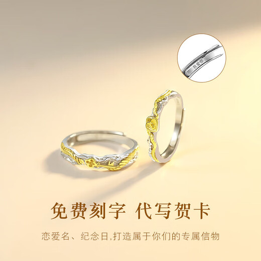 Dirholl Concentric Lock Platinum Ring PT950 Couple Ring Birthday 520 Valentine's Day Gift for Girlfriend and Wife Light Luxury Style - Concentric Lock Pair of Rings - No Engraving