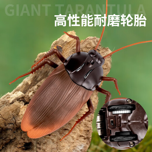 创育抖音遥控蟑螂玩具小强仿真电动小虫子假昆虫创意礼物整蛊道具恶搞 [经典版-遥控蜈蚣]黄黑款9901+螺丝刀 [升级版]另赠24粒电子