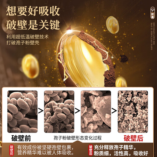Senshan -Marke Ganoderma lucidum Wandsporenpulverkapsel 0,3 g/Partikel*90 Kapseln*2 Kisten