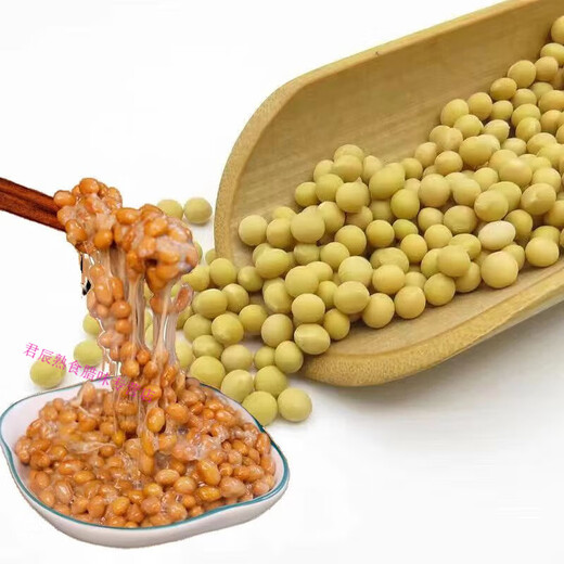 纳豆专用黄豆690小金黄东北黑龙江小粒黄豆发芽专用 纳豆专用小金黄-黄豆2斤