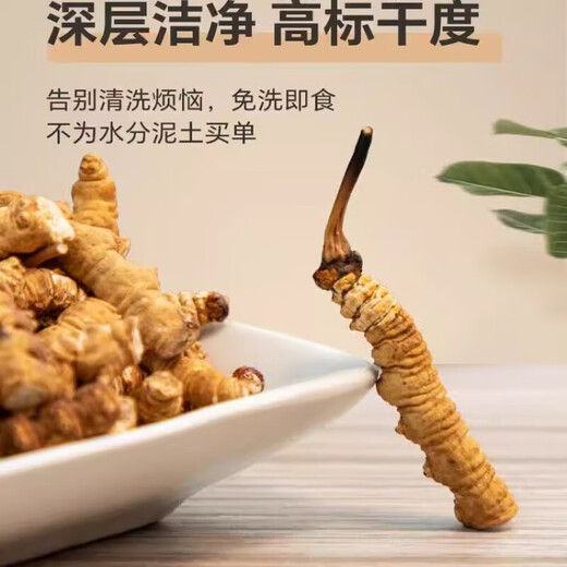 Cordyceps sinensis broken grass authentic cordyceps high altitude broken grass in Tibetan areas, fresh dried cordyceps large broken grass [authentic Tibetan areas high altitude] 11 grams of broken grass
