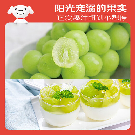 Jingxiansheng Sunshine Rose Grape Green Grape 4-4.5Jin Jin is equal to 0.5kg gift box, single fruit about 10g, fresh fruit, fresh gift box