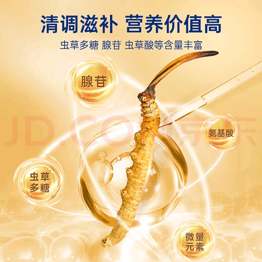 Cordyceps sinensis (SF Express Direct Delivery) Tibetano a gran altitud Cordyceps sinensis Regalo de regalo Atmosférico y de alta gama Nago Cordyceps sinensis 0.6 gramos de 100 piezas Pack 5 piezas