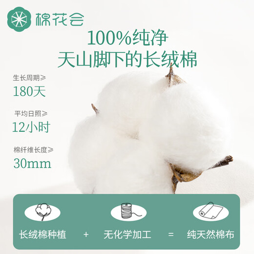 棉花会隔尿垫纯棉可洗床单大床180*200cm+隔尿垫70*90CM组合装