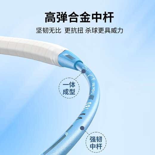 Peak badminton racket titanium alloy racket set durable adult student suit training competition racket 2 rackets blue/silver gray