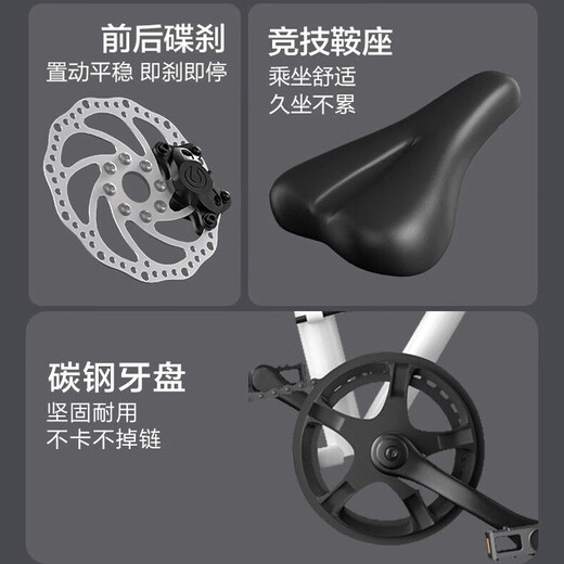 FOREVER folding bicycle for adults, men and women, portable light commuter bike, student bicycle to work, no installation, painted powder - integrated transmission - disc brake, 20 inches, suitable for height 140-165cm