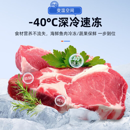 美菱（MeiLing）零下-40超低温 冷藏冷冻转换家用商用电子温控五面制冷大冷冻囤货冷柜冰箱冰柜 以旧换新补贴 738升【-40度低温冷冻】钢胆 738L