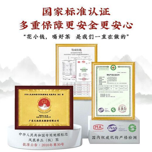 天池茶业1392天池凤凰单丛茶正宗潮州单枞青山系列春茶罐装花香鸭 青山鸭屎香125g