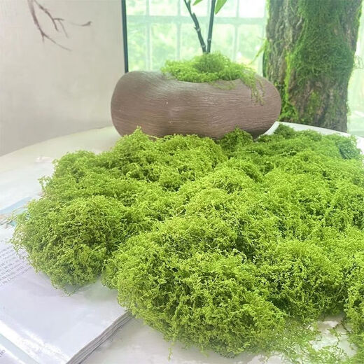 Simulated filamentous moss green micro landscape layout fake lawn fish tank landscaping rockery stone bonsai landscaping pavement light yellow green 70g free 40g