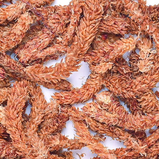 Devo caterpillar sphagnum moss for Phalaenopsis planting special potted gardening soil moss turtle reptile high-quality mat material