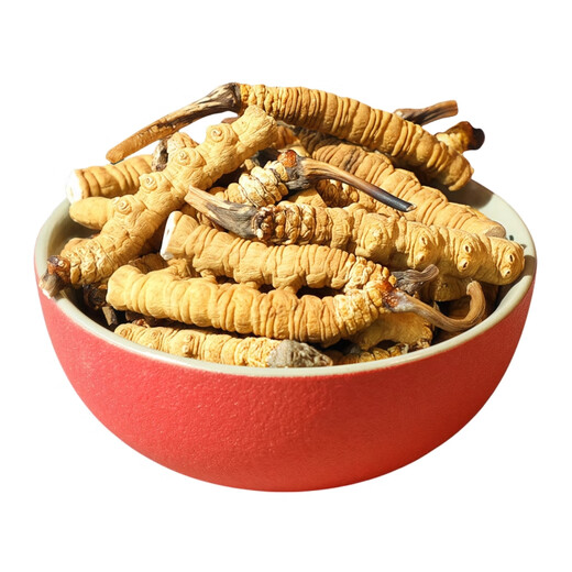 [Support quality inspection] 10 grams of large broken grass authentic Cordyceps sinensis cordyceps sinensis cordyceps sinensis self-eating tonic Cordyceps sinensis 50 grams pack 5 grams hair 55 grams 50 grams