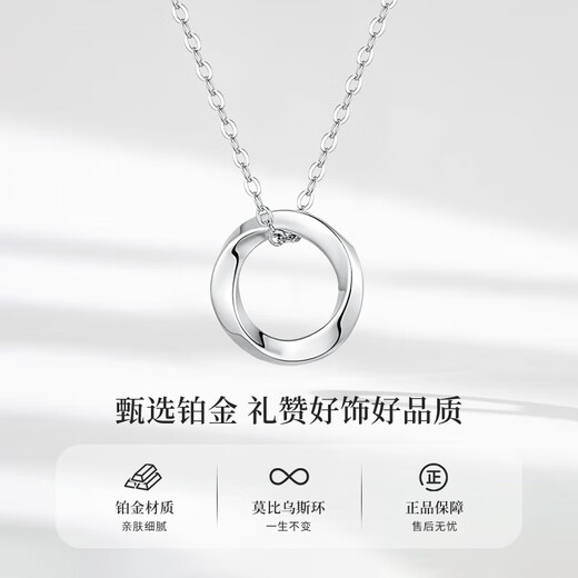 China Gold Möbius Platinum Necklace for Women 2025 New Platinum Pendant Birthday Gift for Girlfriend and Wife Wedding Anniversary Platinum Möbius Pendant + Pure Silver Chain Jingsuda