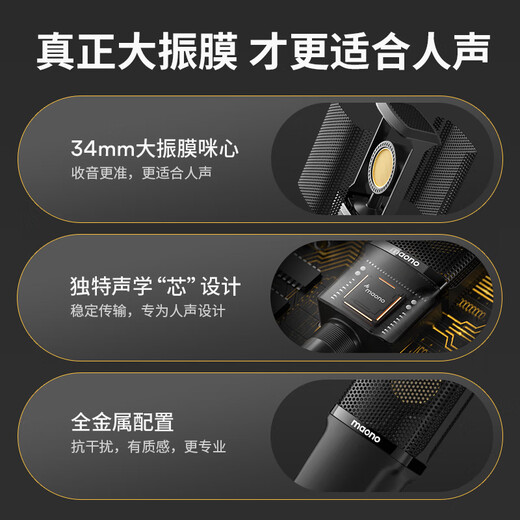 Flash PM500S condenser microphone live broadcast sound card professional large diaphragm microphone radio equipment dubbing karaoke XLR wired microphone Bobo Mai recording microphone Flash PM500S PM500S (cantilever model)