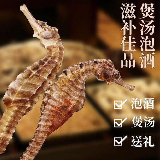 北京同仁堂足干正宗海马干货非中药材一对滋补泡酒配对煲汤公母非野肾阳高 5对装[9-11厘米]送6只特小海马